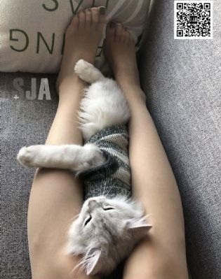 精品国产亚洲av热无遮挡_剧情片视频大全