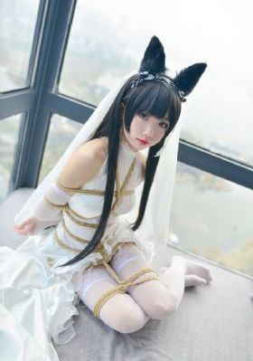 日韩ava_剧情片高清视频播放